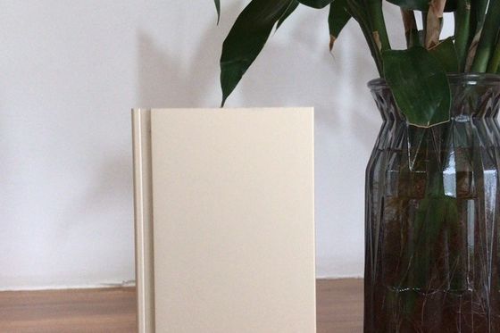 Guter Preis Manunal Oxidation Produktionslinie mit einer Monatslieferkapazität von 900 Tonnen Online